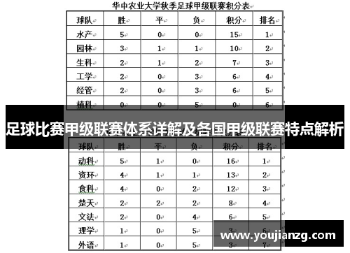 足球比赛甲级联赛体系详解及各国甲级联赛特点解析